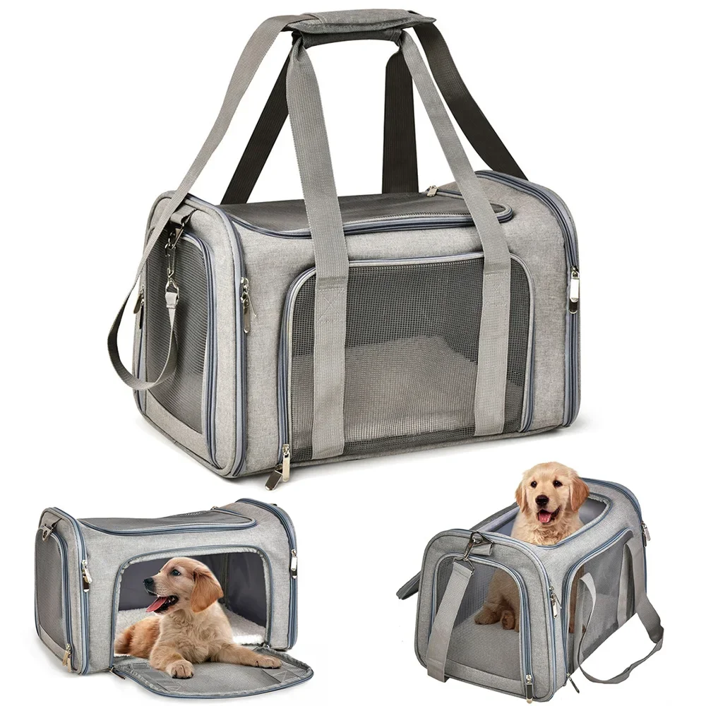 Airline-Approved Cat Carrier Backpacks: What to Check