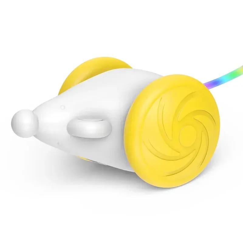 Workday Play Ideas for Cats: LED Tail Toy and More
